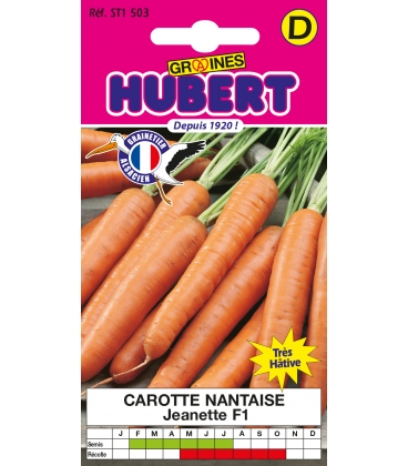 Carotte Jeanette F1 - Nantaise
