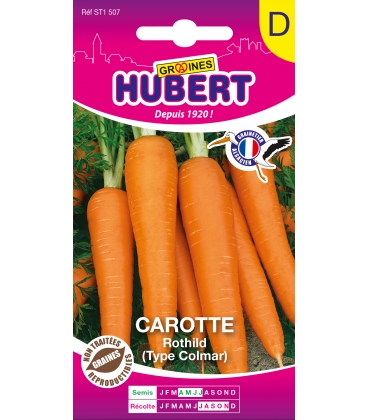 Carotte Rothild type Colmar