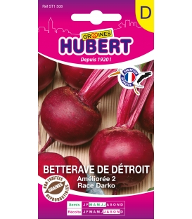 Betterave Darko - Race Detroit