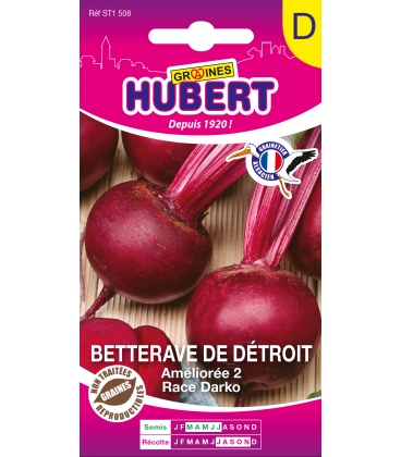 Betterave Darko - Race Detroit