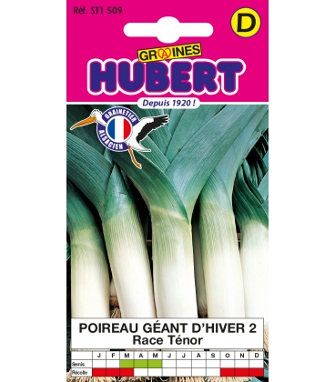 Poireau T&eacute;nor - G&eacute;ant d'Hiver 2