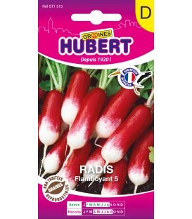 Radis Flamboyant Sélection Hubert