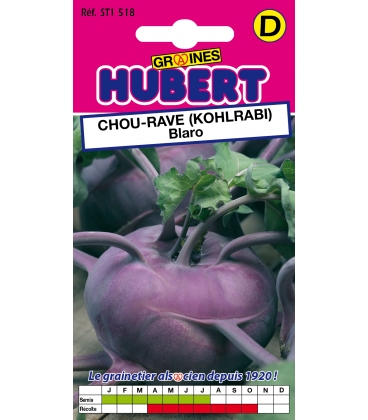 Chou-rave Blaro - Kohlrabi