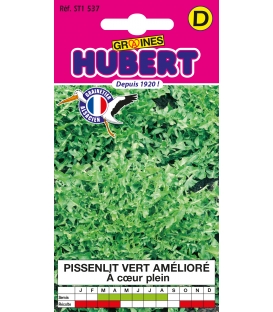 Pissenlit Vert Amelioré à Coeur Plein