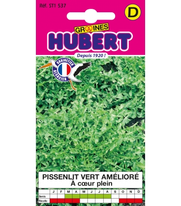 Pissenlit Vert Amelior&eacute; &agrave; Coeur Plein