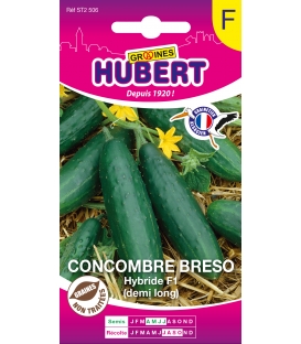 Concombre Breso Hybride F1