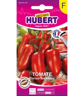 Tomate Cornue des Andes