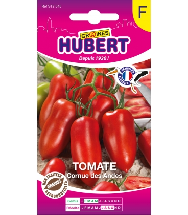 Tomate Cornue des Andes