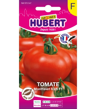 Tomate Montfavet 63/5 F1 (I.N.R.A.)
