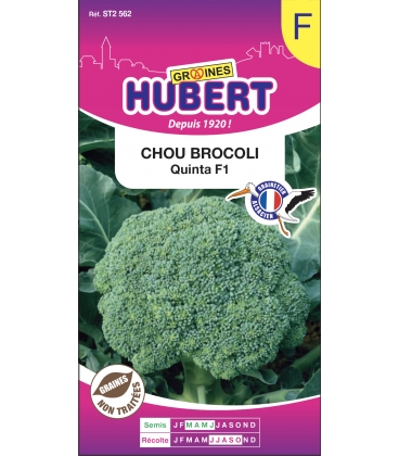 Chou Brocoli Quinta F1