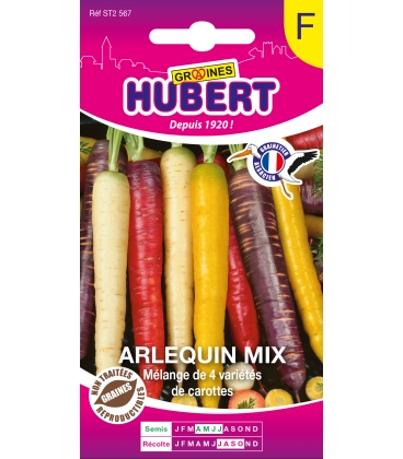 Carottes Arlequin Mix
