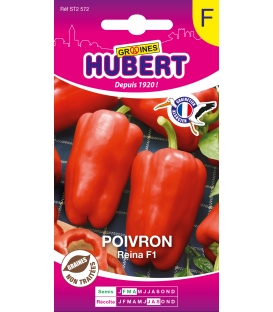 Poivron Reina F1
