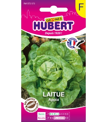 Laitue Appia