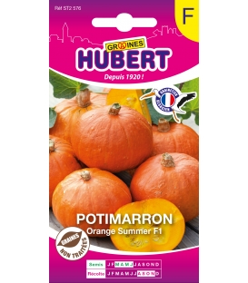 Potimarron Orange Summer F1