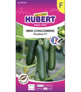 Mini Concombre Picolino F1