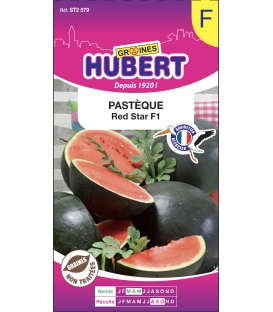 Pastèque Red Star F1