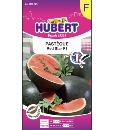 Past&egrave;que Red Star F1