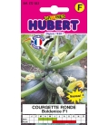 Courgette Ronde Boldenice F1 © images protégées téléchargement interdit !