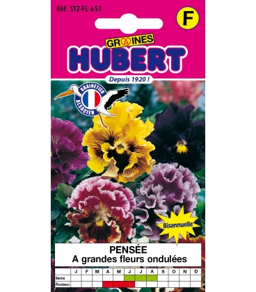 Pens&eacute;e Ondul&eacute;es &agrave; Grandes Fleurs
