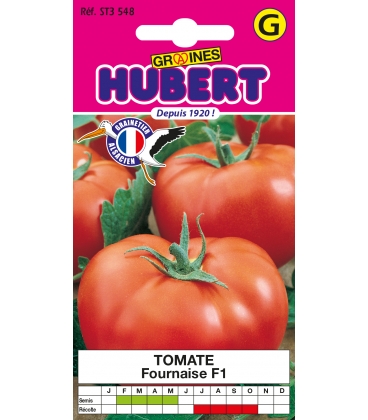 Tomate Fournaise F1