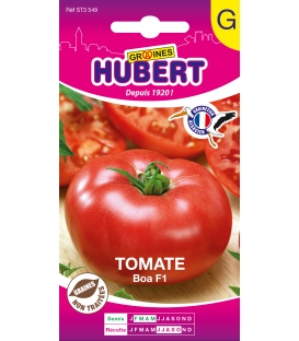 Tomate BOA F1