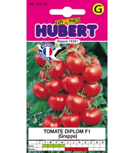 Tomate Diplom F1
