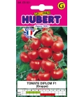 Tomate Diplom F1