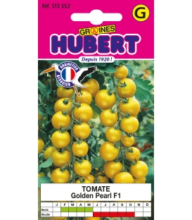 Tomate Golden Pearl F1