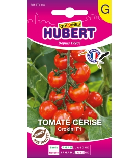 Tomate Cerise Crokini F1
