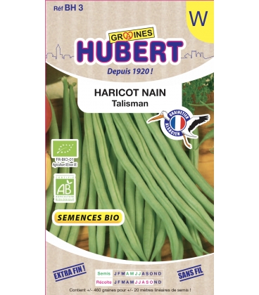 Haricot Nain Talisman BIO