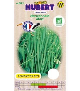 Haricot Nain Maxi BIO