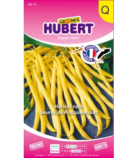 Haricot Beurre de Rocquencourt
