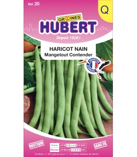Haricot nain Contender