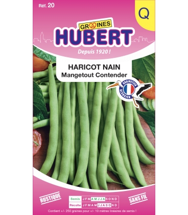 Haricot nain Contender