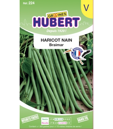 Haricot Nain Braimar