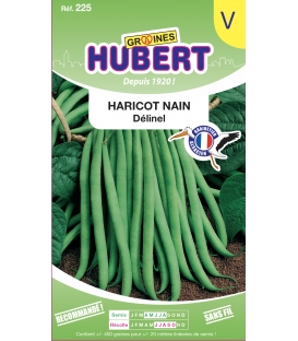 Haricot Delinel