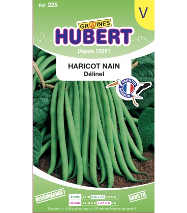 Haricot Delinel