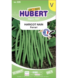 Haricot Ferrari Mangetout Nain