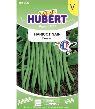 Haricot Ferrari Mangetout Nain