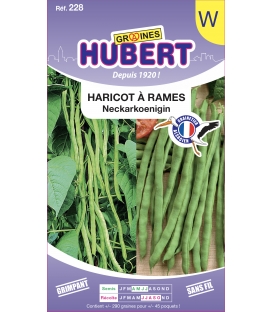 Haricot Neckarkönigin à Rames