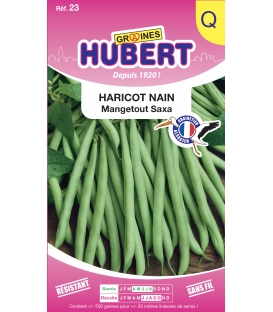 Haricot Saxa Mangetout Nain