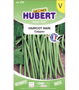 Haricot Calypso Mangetout Nain