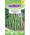 Haricot Nain Mangetout Calypso