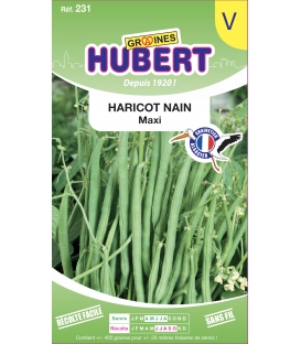 Haricot Maxi Nain Mangetout
