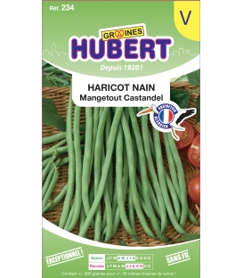 Haricot Castandel Nain