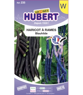 Haricot Blauhilde Ramant