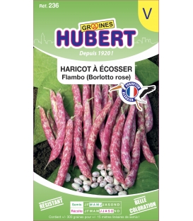 Haricot Flambo à écosser (Borlotto rose)
