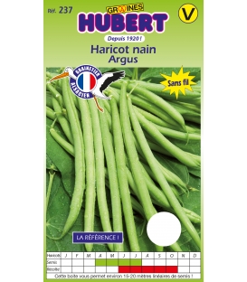 Haricot Argus Nain Mangetout