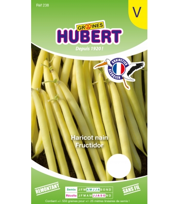 Haricot Fructidor Nain