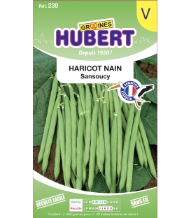 Haricot Nain Sansoucy